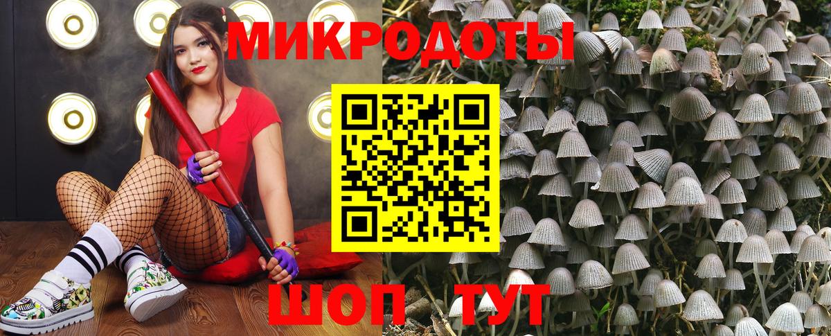 Псилоцибиновые грибы Magic Shrooms Малгобек