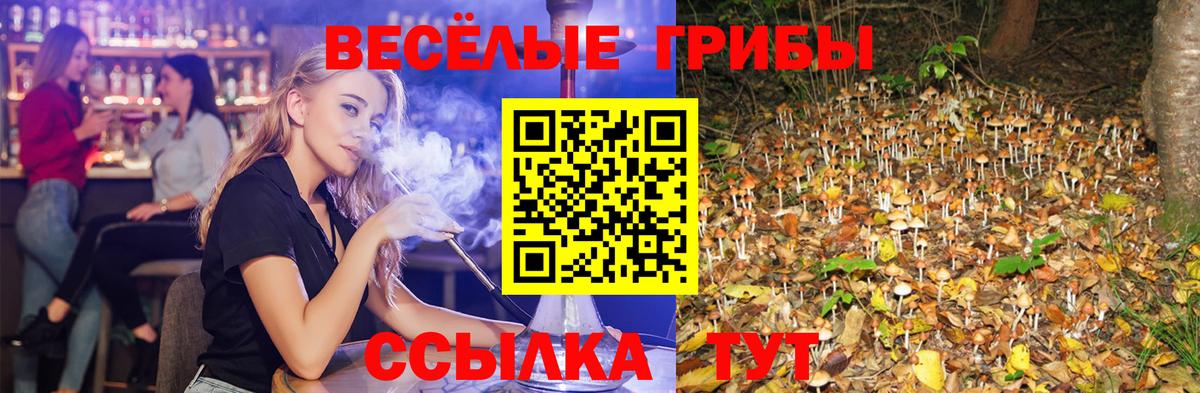 как найти закладки  Псилоцибиновые грибы мухоморы  Вход с VPN  Малгобек  Псилоцибиновые грибы MAGIC MUSHROOMS 